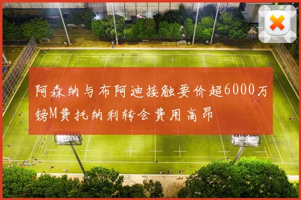 阿森纳与布阿迪接触要价超6000万镑M费托纳利转会费用高昂